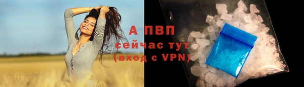 спиды Алексеевка