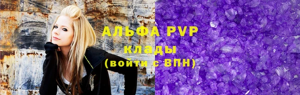 СК Протвино