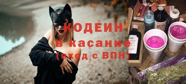 эйфоретик Покачи